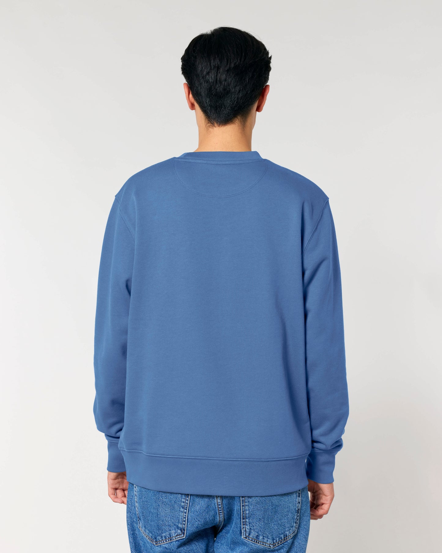 SWEATER - BRIBLAUW