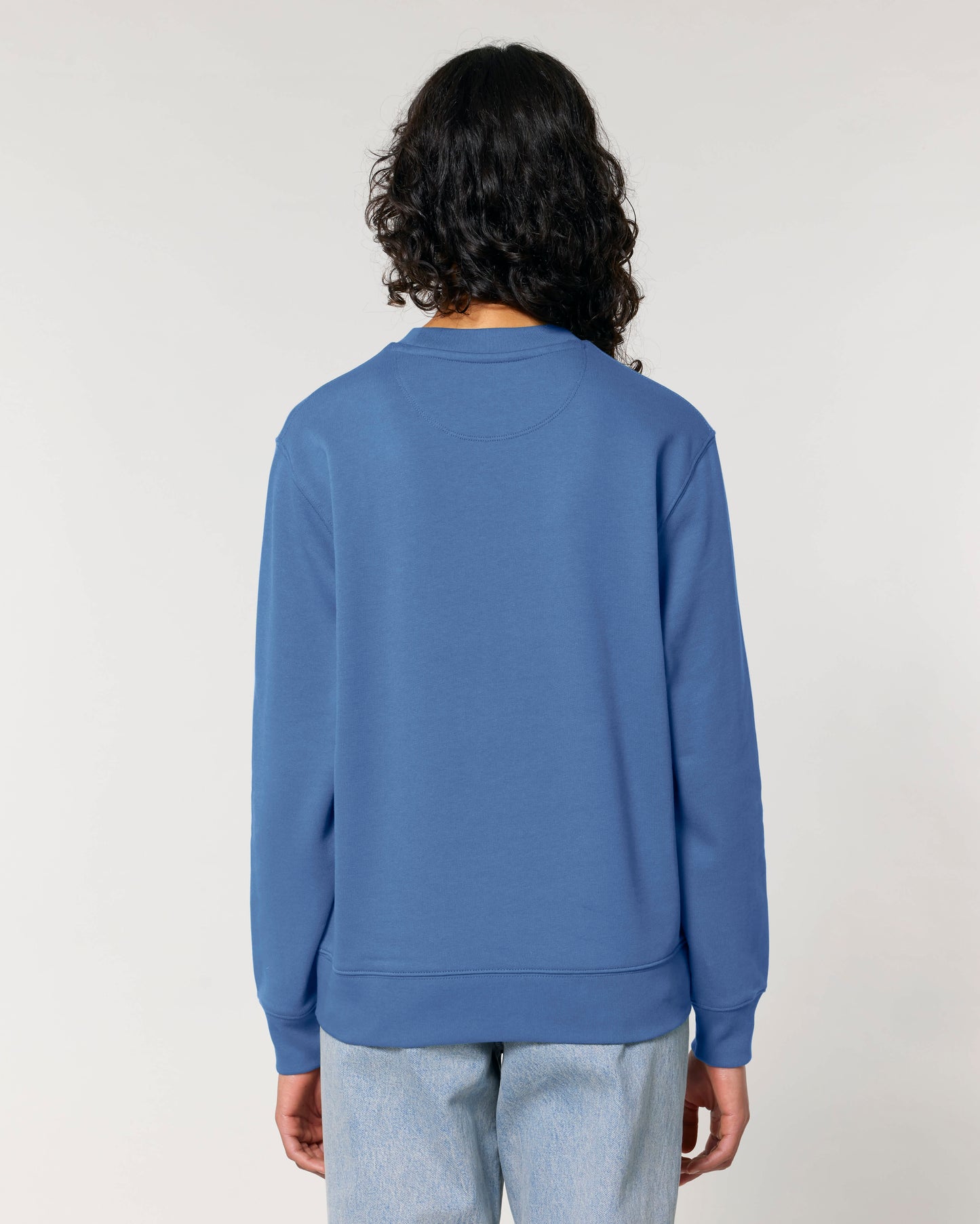 SWEATER - BRIBLAUW
